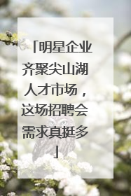 明星企业齐聚尖山湖人才市场，这场招聘会需求真挺多