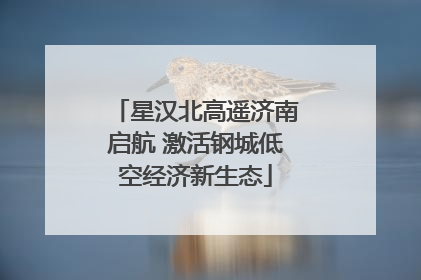 星汉北高遥济南启航 激活钢城低空经济新生态
