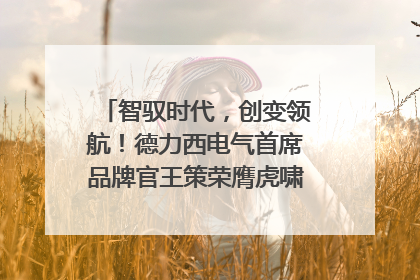 智驭时代，创变领航！德力西电气首席品牌官王策荣膺虎啸奖年度品牌人物