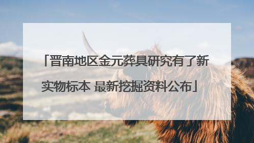 晋南地区金元葬具研究有了新实物标本 最新挖掘资料公布