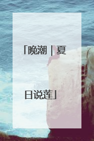 晚潮｜夏日说莲