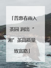 普惠春雨入茶园 润出“湘”茶高质量致富路