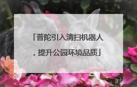 普陀引入清扫机器人，提升公园环境品质