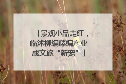 景观小品走红，临沭柳编藤编产业成文旅“新宠”