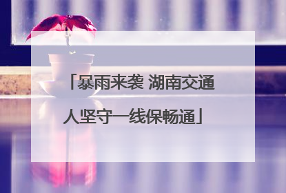 暴雨来袭 湖南交通人坚守一线保畅通