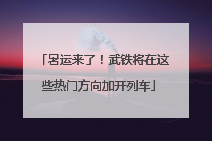 暑运来了！武铁将在这些热门方向加开列车
