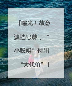 曝光！故意遮挡号牌，“小聪明”付出“大代价”