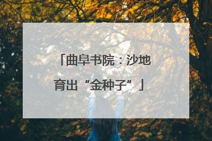 曲阜书院：沙地育出“金种子”