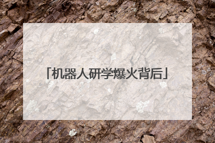 机器人研学爆火背后