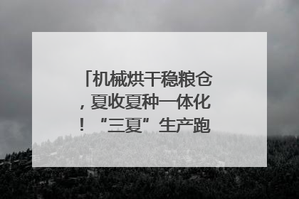 机械烘干稳粮仓，夏收夏种一体化！“三夏”生产跑出加速度｜麦报