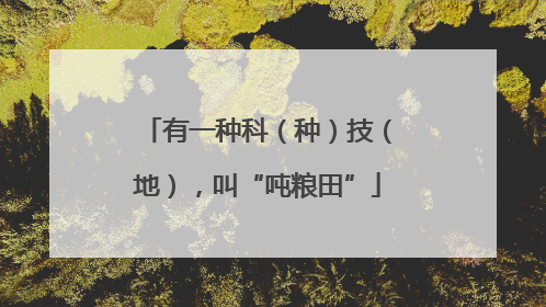 有一种科（种）技（地），叫“吨粮田”