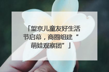 望京儿童友好生活节启幕，商圈组建“萌娃观察团”