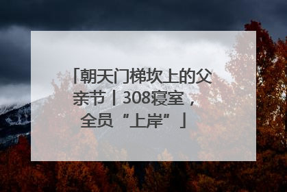 朝天门梯坎上的父亲节丨308寝室，全员“上岸”