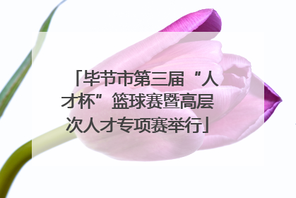 毕节市第三届“人才杯”篮球赛暨高层次人才专项赛举行