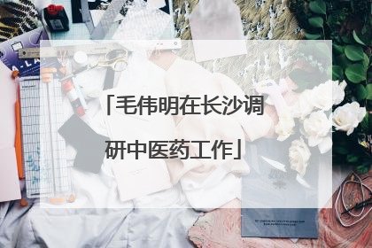 毛伟明在长沙调研中医药工作