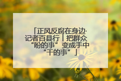 正风反腐在身边·记者百县行丨把群众“盼的事”变成手中“干的事”