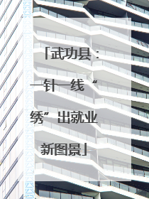 武功县：一针一线“绣”出就业新图景