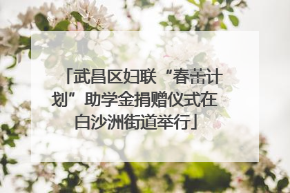 武昌区妇联“春蕾计划”助学金捐赠仪式在白沙洲街道举行