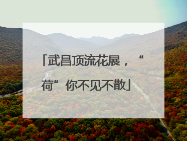 武昌顶流花展，“荷”你不见不散