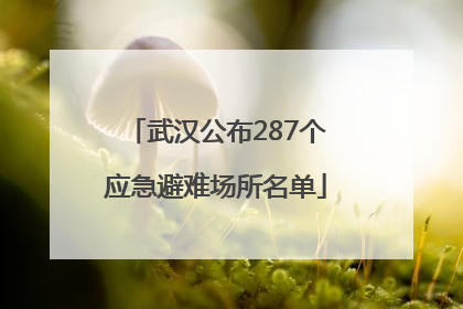 武汉公布287个应急避难场所名单