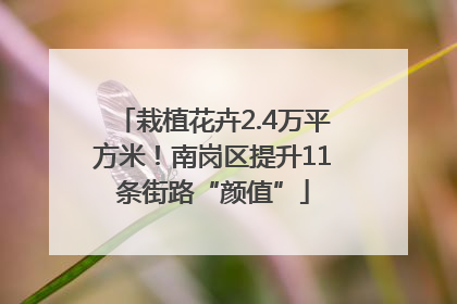 栽植花卉2.4万平方米！南岗区提升11条街路“颜值”