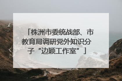 株洲市委统战部、市教育局调研党外知识分子“边颖工作室”