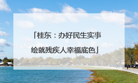桂东：办好民生实事 绘就残疾人幸福底色
