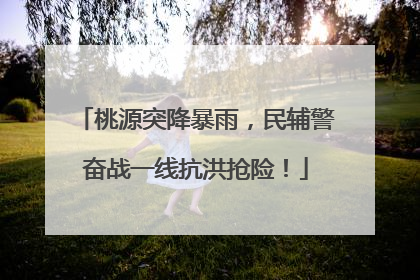 桃源突降暴雨，民辅警奋战一线抗洪抢险！
