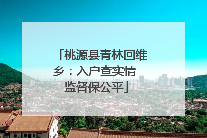 桃源县青林回维乡：入户查实情 监督保公平