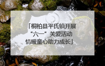 桐柏县平氏镇开展“六一”关爱活动 情暖童心助力成长