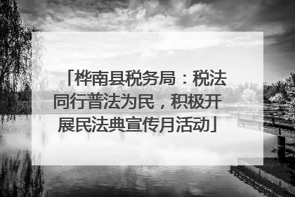 桦南县税务局：税法同行普法为民，积极开展民法典宣传月活动