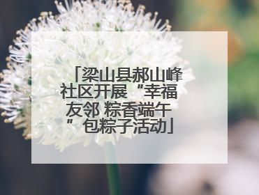 梁山县郝山峰社区开展“幸福友邻 粽香端午”包粽子活动