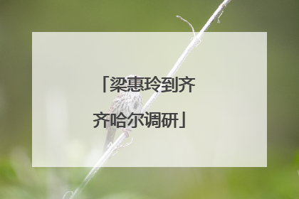 梁惠玲到齐齐哈尔调研