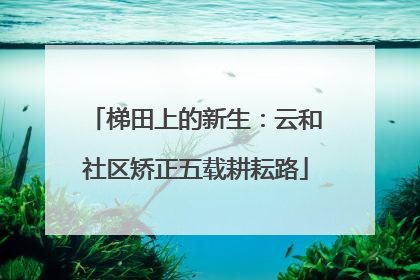 梯田上的新生：云和社区矫正五载耕耘路