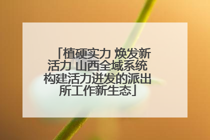 植硬实力 焕发新活力 山西全域系统构建活力迸发的派出所工作新生态