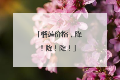 榴莲价格，降！降！降！