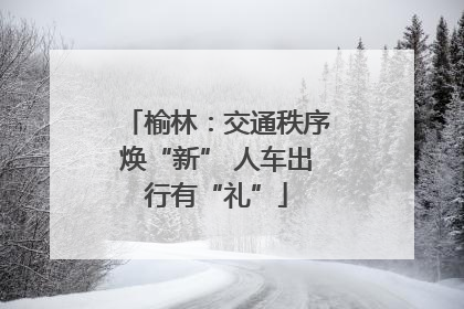 榆林：交通秩序焕“新” 人车出行有“礼”