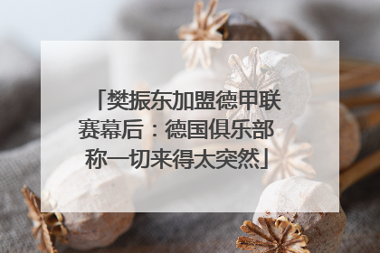 樊振东加盟德甲联赛幕后：德国俱乐部称一切来得太突然