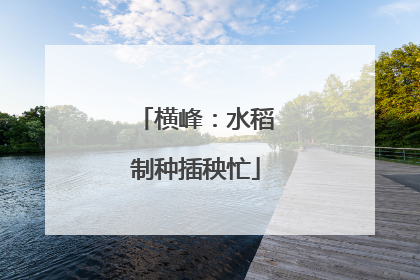 横峰：水稻制种插秧忙