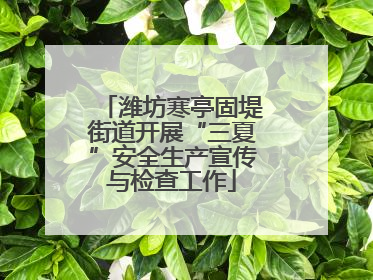 潍坊寒亭固堤街道开展“三夏”安全生产宣传与检查工作
