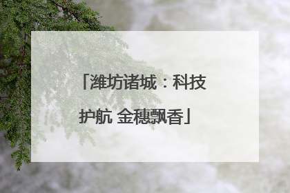 潍坊诸城：科技护航 金穗飘香
