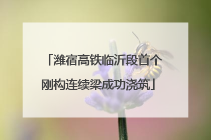 潍宿高铁临沂段首个刚构连续梁成功浇筑
