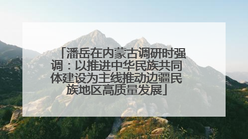 潘岳在内蒙古调研时强调：以推进中华民族共同体建设为主线推动边疆民族地区高质量发展