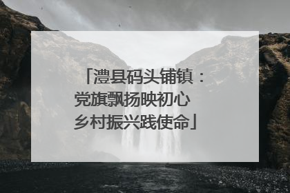澧县码头铺镇：党旗飘扬映初心 乡村振兴践使命