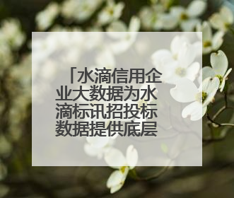 水滴信用企业大数据为水滴标讯招投标数据提供底层数据支持开展多类型服务