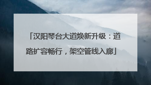 汉阳琴台大道焕新升级：道路扩容畅行，架空管线入廊