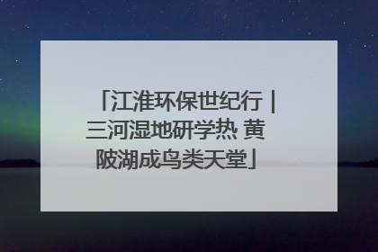 江淮环保世纪行｜三河湿地研学热 黄陂湖成鸟类天堂