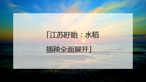 江苏盱眙：水稻插秧全面展开