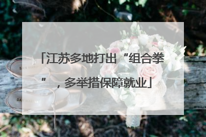 江苏多地打出“组合拳”，多举措保障就业