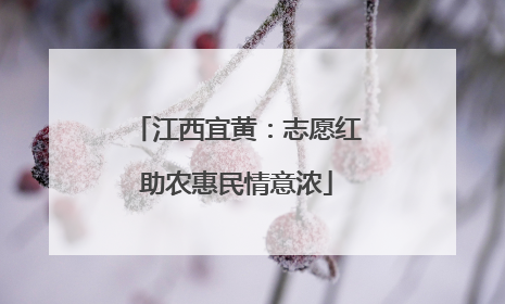 江西宜黄：志愿红助农惠民情意浓